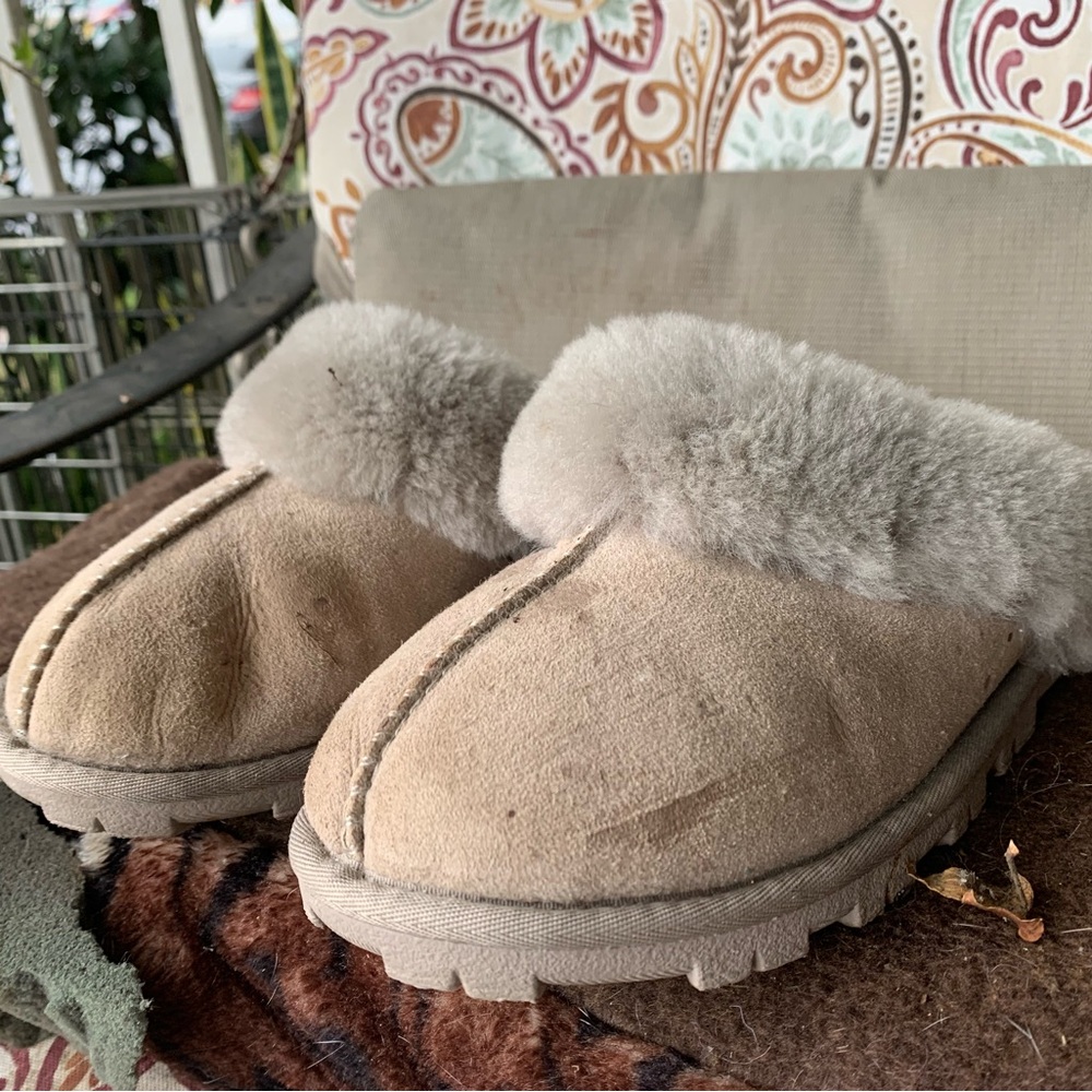 UGG Tan and Gray Shearling Mules